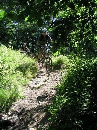 Two mountain bikers riding on a narrow, dirt trail surrounded by lush greenery and sunlight filtering through the trees. One rider is in the foreground, navigating a slightly rugged section of the trail, while the second rider is slightly behind. Coopers Rock mountain bike trail.