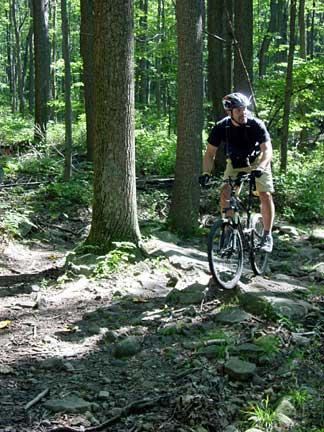 A person riding a mountain bike on a rocky trail through a dense forest, surrounded by tall trees and greenery, with sunlight filtering through the leaves. Coopers Rock mountain bike trail.
