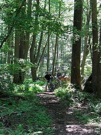 Two individuals with bicycles stand on a dirt path surrounded by tall trees and lush greenery in a forest setting. Sunlight filters through the leaves, creating a dappled light effect on the ground. Coopers Rock mountain bike trail.