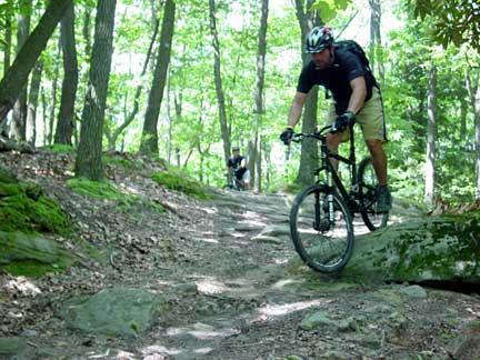 A mountain biker navigating a rocky trail in a lush, green forest. The biker is wearing a helmet and riding a black mountain bike, showcasing an action shot as they maneuver over the terrain. Trees and moss-covered rocks are visible in the surrounding area. Coopers Rock mountain bike trail.