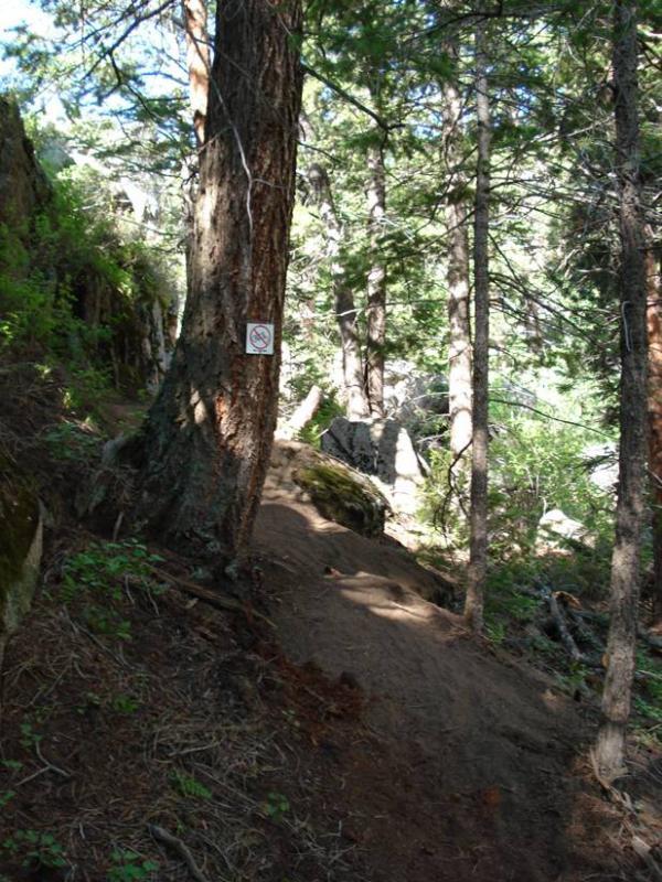 A narrow, sandy hiking trail winding through a dense forest of tall pine trees, with a "no trespassing" sign visible on a tree trunk. Sunlight filters through the leaves, casting shadows on the ground. Curt Gowdy State Park mountain bike trail.