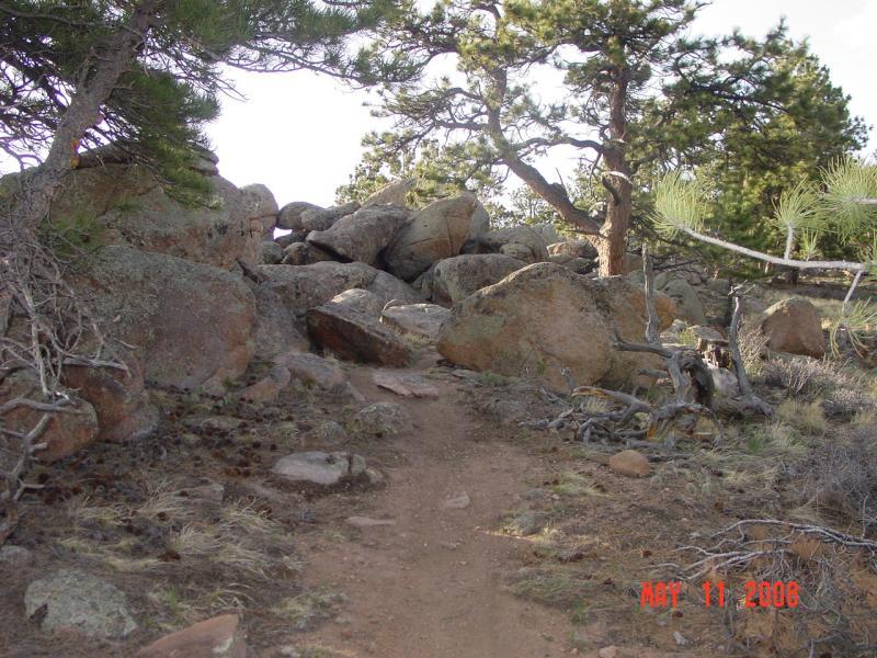 A winding dirt path leads through a rocky landscape, flanked by scattered boulders and trees. The scene is set in a natural environment, showcasing a mixture of pine trees and rocky outcrops under a clear sky. The ground is covered in grass and small stones, suggesting a rugged terrain. Curt Gowdy State Park mountain bike trail.