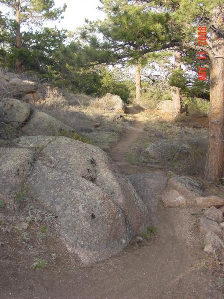 Narrow dirt trail winding through a natural landscape of rocky terrain and pine trees, with sunlight filtering through the foliage. Curt Gowdy State Park mountain bike trail.