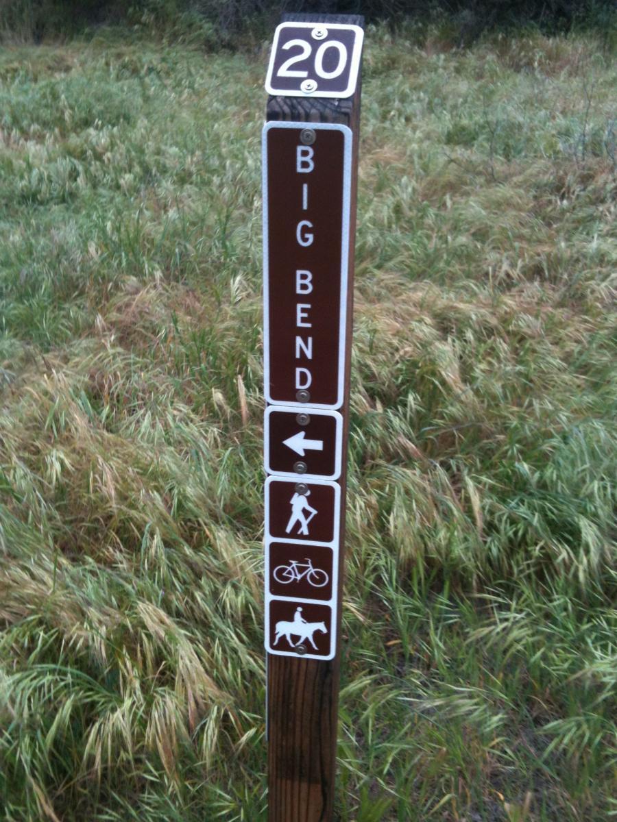 Signpost for Big Bend, marked with the number 20, featuring directional arrows and icons indicating allowed activities such as hiking, biking, and horseback riding, set against a background of tall grass. Big Bend Trail mountain bike trail.