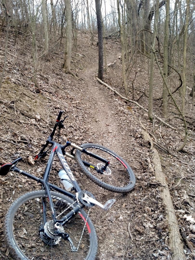 A mountain bike rests on a dirt trail surrounded by bare trees and fallen leaves, indicating a wooded and possibly hilly terrain. The bike is positioned on its side, with a water bottle attached to its frame, and the path winds upward in the background. Morsches Park mountain bike trail.