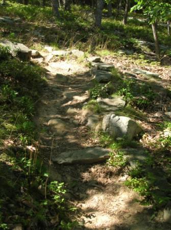 A winding dirt path surrounded by green foliage and rocks, leading through a forested area with sunlight filtering through the trees. Cacapon State Park mountain bike trail.
