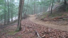 A winding dirt path through a misty forest, surrounded by lush green trees and scattered leaves on the ground. Fog creates a soft, ethereal atmosphere, partially obscuring the view of the landscape ahead. North Bend State Park mountain bike trail.