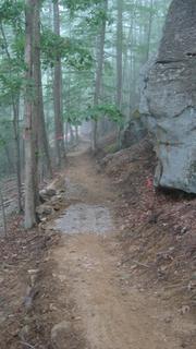 A narrow dirt trail winding through a misty forest, flanked by tall trees and a rocky outcrop on one side. The path is slightly uneven, with patches of gravel, and surrounded by foliage. North Bend State Park mountain bike trail.