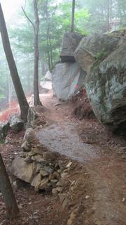 A winding dirt path surrounded by tall trees and large boulders, shrouded in a light mist. The trail is slightly rocky, with some stones arranged along the side. The scene evokes a sense of tranquility and adventure in a natural setting. North Bend State Park mountain bike trail.