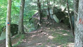 A wooded area featuring tall trees and large rocks, with a dirt path winding through the scene. Sunlight filters through the leaves, casting dappled shadows on the ground. Some trees have colored markers painted on their trunks. North Bend State Park mountain bike trail.