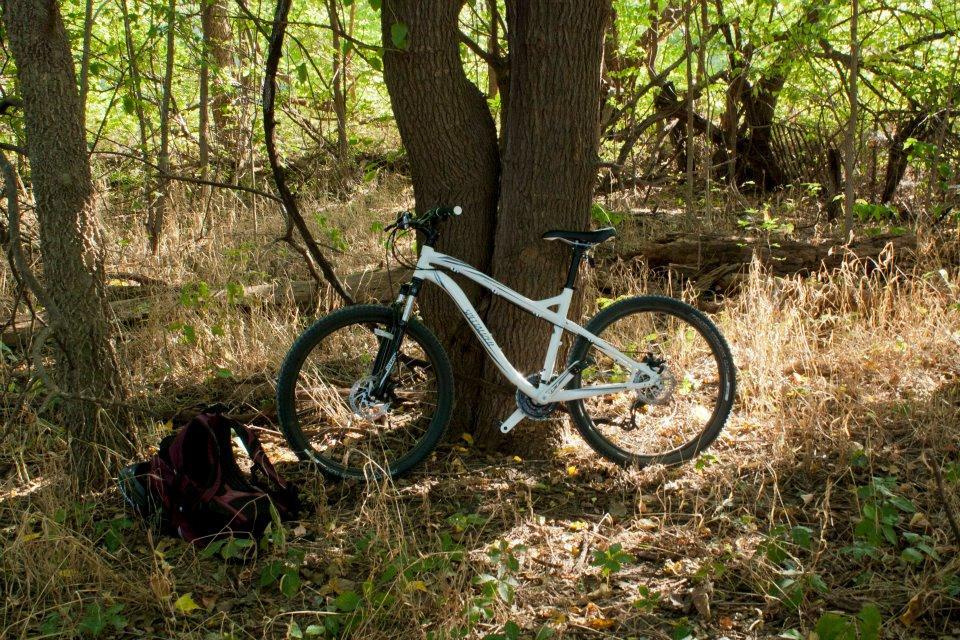 Specialized Myka Disc: A white bicycle leaning against a tree in a forested area, surrounded by tall grass and fallen leaves, with a maroon backpack resting nearby.