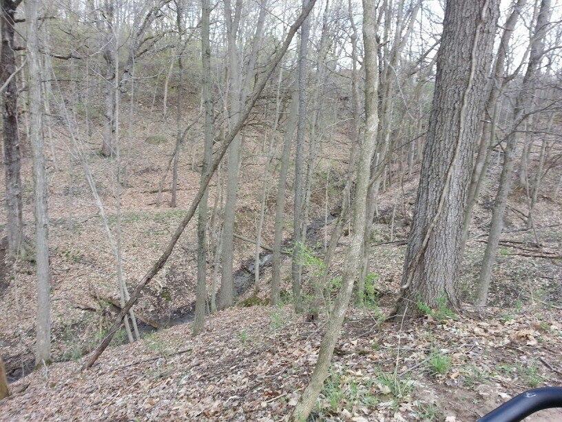 A wooded landscape featuring bare trees and a gently sloping hillside covered with fallen leaves. A narrow creek can be seen winding through the underbrush at the bottom of the slope. The scene is peaceful and reminiscent of early spring, with some greenery visible among the leaf litter. Wildlife Prairie Park mountain bike trail.