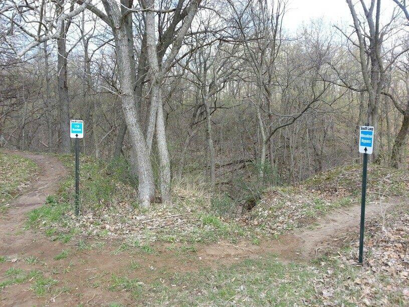 A dirt path forks in a wooded area, with two signs on black posts indicating directions. On the left, a sign reads "Trail 118," while on the right, the sign indicates "South Loop Woodland Bypass." The trees are bare, suggesting early spring, and the ground is covered with a mix of brown leaves and green grass. Wildlife Prairie Park mountain bike trail.