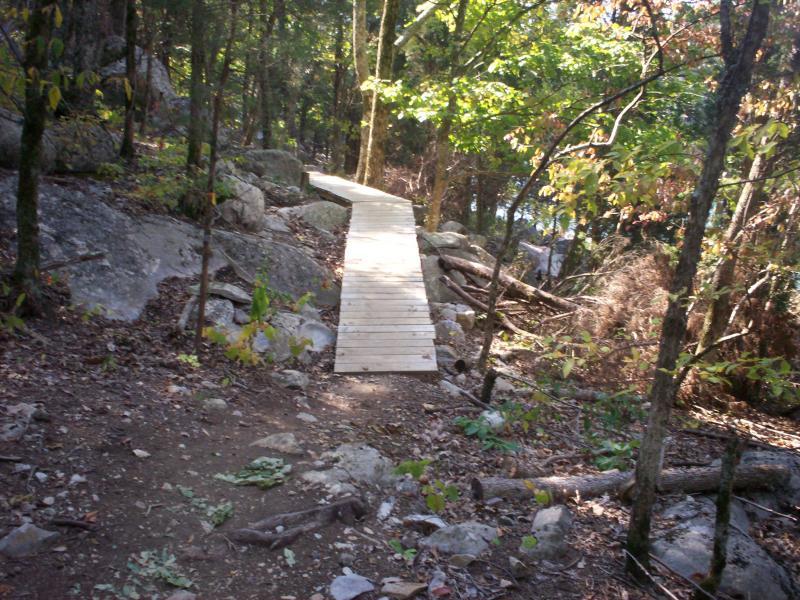 A wooden pathway running through a forested area, surrounded by rocks, fallen branches, and lush greenery, leading deeper into the woods. Panther Creek State Park mountain bike trail.