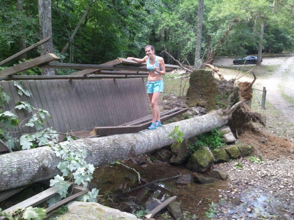 A person standing on a fallen tree trunk that has partially crushed a wooden structure in a wooded area. The surroundings are lush with greenery, and a car is visible in the background on a dirt road. The person is smiling and giving a thumbs-up, wearing athletic clothing. Kanawha State Forest Trails mountain bike trail.