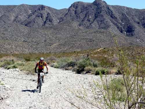 A mountain biker riding on a rocky trail with mountains in the background, showcasing a sunny day and desert landscape. Green shrubs and plants are visible along the path. Franklin Mountain State Park mountain bike trail.