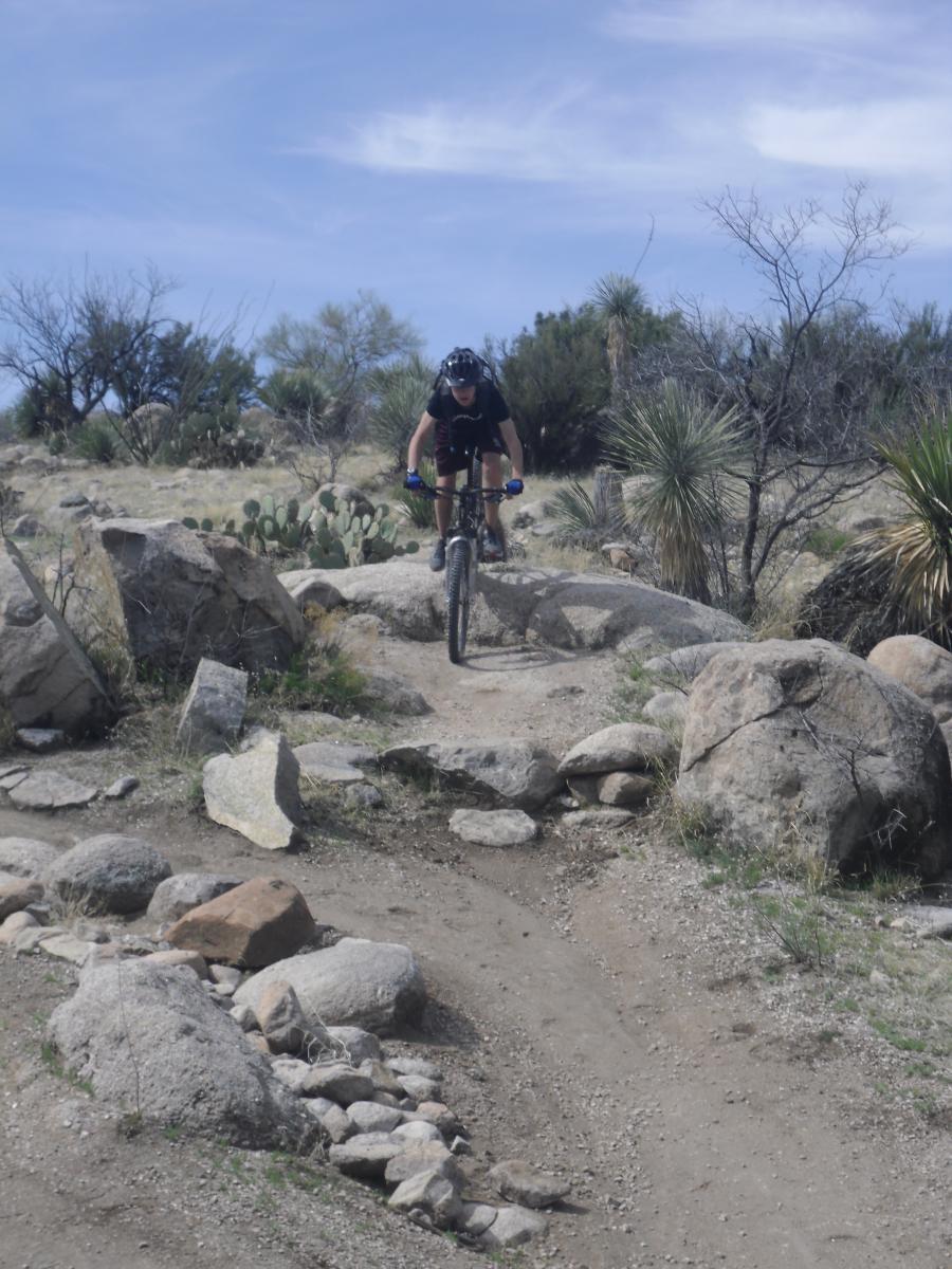 A mountain biker navigating a rocky trail in a desert landscape, surrounded by cacti and sparse vegetation, under a bright blue sky. 50-year Trail / Golder Ranch mountain bike trail.