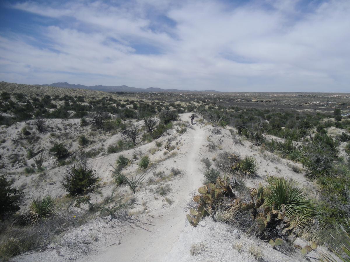 A winding dirt path leads through a desert landscape, surrounded by sparse vegetation, cacti, and shrubs. The view stretches out to distant mountains under a partly cloudy sky. The scene captures the natural beauty and rugged terrain of the area. 50-year Trail / Golder Ranch mountain bike trail.