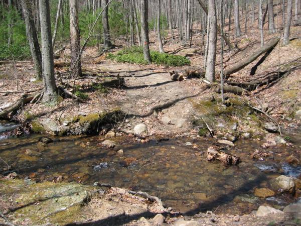 A tranquil scene in a forested area featuring a clear stream flowing over smooth stones. The surrounding landscape is composed of tall, bare trees and patches of green underbrush. Sunlight filters through the branches, illuminating the earthy tones of the forest floor, which is covered with leaves and small rocks. Douthat State Park mountain bike trail.