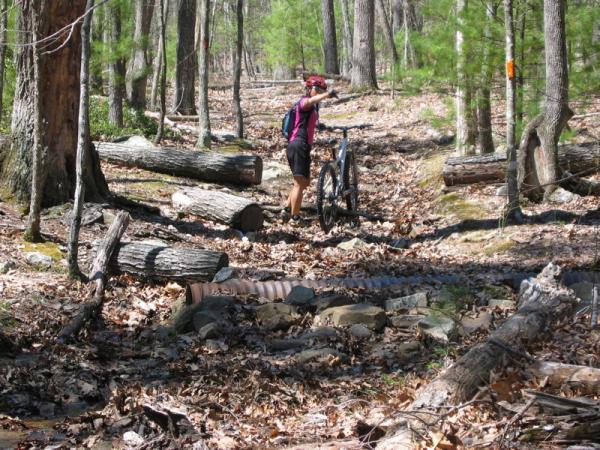 A cyclist in a pink and black outfit is standing beside a mountain bike on a wooded trail, surrounded by fallen logs and leaves. The forest is lush with green trees in the background. Douthat State Park mountain bike trail.