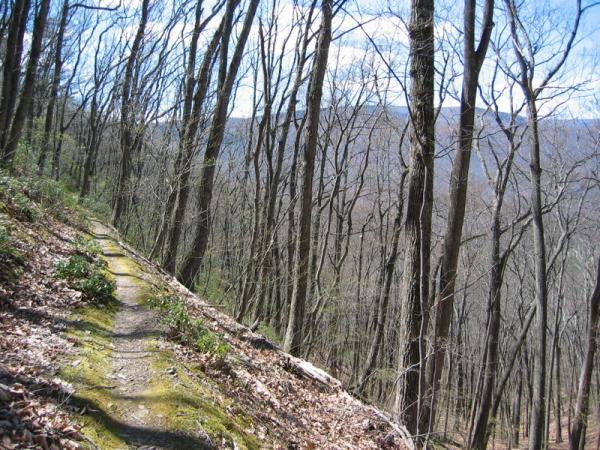 A winding dirt trail meanders through a forest of bare trees, with a view of distant mountains in the background. The path is bordered by patches of green moss and fallen leaves, and the sky is partly cloudy, suggesting a peaceful, natural setting. Douthat State Park mountain bike trail.