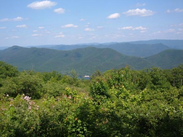 A scenic view of rolling green mountains under a blue sky dotted with fluffy white clouds. In the foreground, lush greenery and some flowering plants frame the landscape, while the mountains stretch into the distance, creating a serene natural panorama. Douthat State Park mountain bike trail.