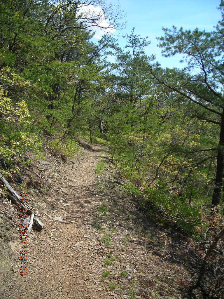 A winding dirt trail surrounded by greenery and trees, with a clear blue sky above. The path is gravelly and partially lined with small rocks, inviting outdoor exploration. Douthat State Park mountain bike trail.