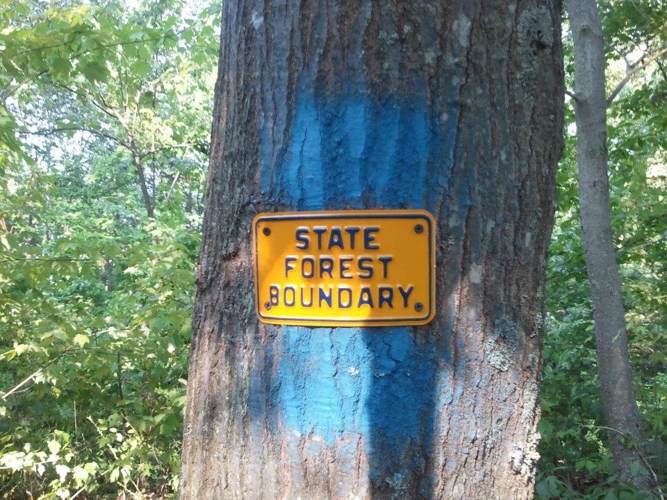 A yellow sign that reads "STATE FOREST BOUNDARY" affixed to a tree with blue markings, surrounded by greenery and forest. Kanawha State Forest Trails mountain bike trail.