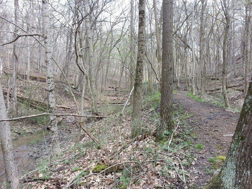 A winding dirt path through a wooded area with bare trees, patches of green foliage, and a small stream visible on the left side of the image. The surrounding landscape shows fallen leaves and a hilly terrain in the background. Wildlife Prairie Park mountain bike trail.