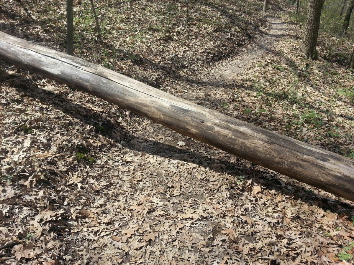 A fallen log resting across a dirt path surrounded by dry leaves and trees in a wooded area. Illiniwek Forest Preserve mountain bike trail.