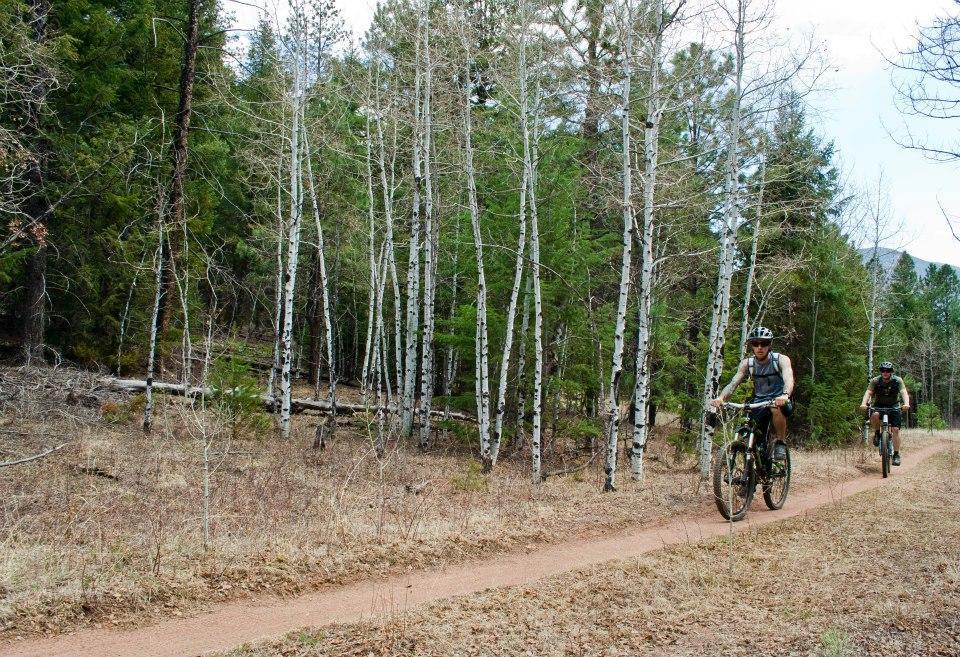 Two mountain bikers riding along a dirt trail surrounded by tall trees, including aspen and evergreen trees, in a natural forest setting. The path winds through the vegetation, showcasing a mix of green and dry grass areas. Buffalo Creek mountain bike trail.