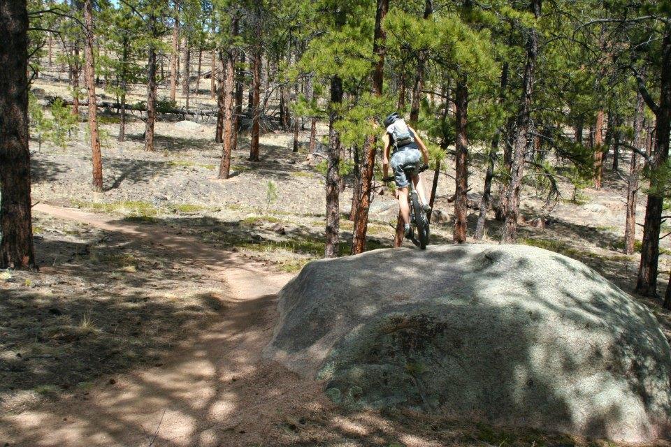 A mountain biker jumps off a large rock in a forested area, surrounded by tall pine trees and a dirt trail winding through the landscape. The scene captures the thrill of outdoor biking in a natural setting. Buffalo Creek mountain bike trail.