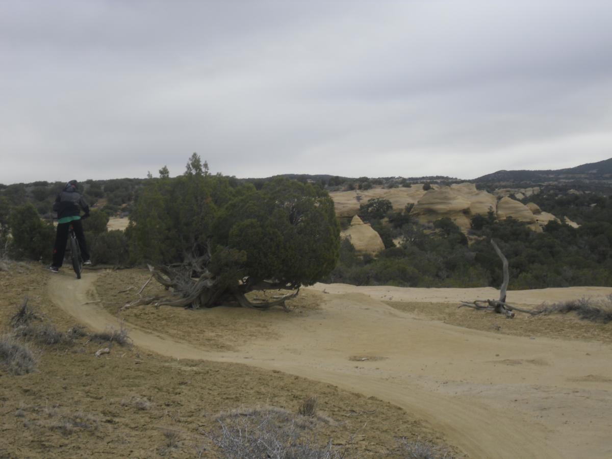 A person riding a mountain bike on a dirt trail surrounded by rugged terrain and sparse vegetation, with rocky formations in the background under a cloudy sky. Alien Run Trail mountain bike trail.
