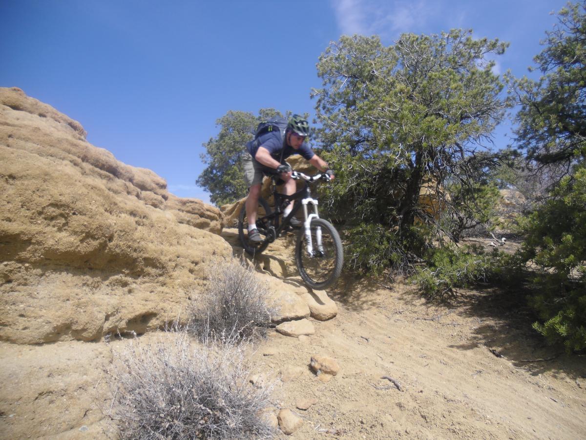 A person riding a mountain bike jumps off a rocky terrain amidst trees and blue skies. The biker is positioned in mid-air, showcasing an adventurous outdoor activity in a rugged landscape. Alien Run Trail mountain bike trail.