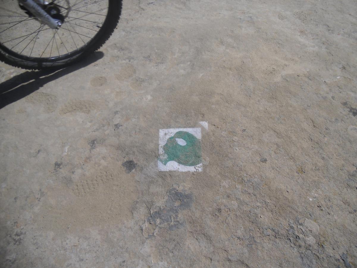 A close-up view of a painted symbol on a dusty surface, with a bicycle wheel partially in the frame. The symbol is a green design enclosed in a white square, set against a light brown, textured ground. Footprints and tire marks are visible around the area. Alien Run Trail mountain bike trail.
