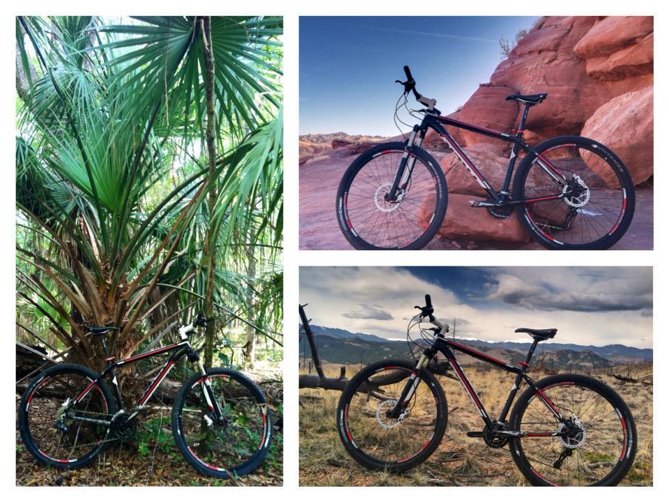 Trek X-Caliber: A collage of three images featuring a mountain bike. The top left image shows the bike positioned among lush, green palm leaves; the top right image captures it against a red rock background; and the bottom image displays the bike in an open, grassy area with mountains in the distance under a cloudy sky.