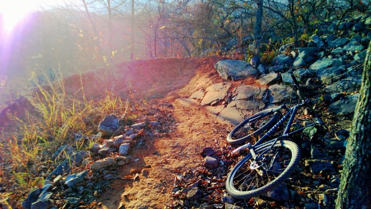 A mountain bike resting on a rocky dirt trail, surrounded by sparse grass and trees in soft, warm sunlight. The trail curves in the background, leading into a natural landscape with a slight elevation, suggesting a scenic outdoor location. Coldwater Mountain mountain bike trail.