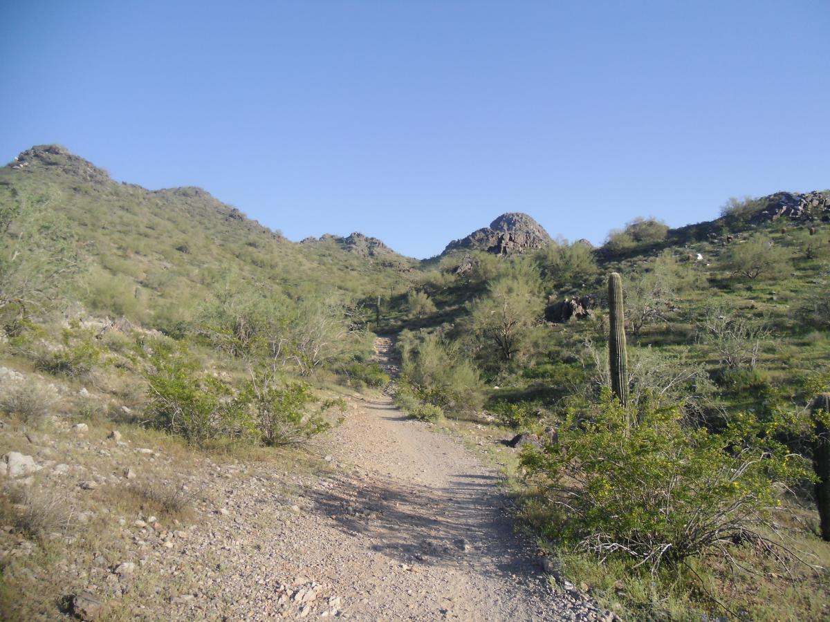 A dirt path winding through a desert landscape, flanked by low hills and scattered vegetation. The terrain features shrubs and cacti, with a clear blue sky overhead and rocky formations visible in the distance. Trail #100 mountain bike trail.