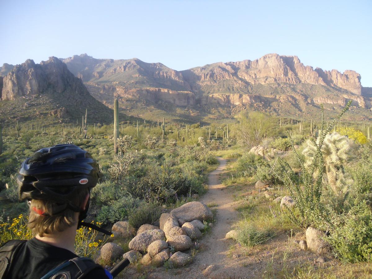 A person wearing a bike helmet stands on a dirt trail overlooking a desert landscape with cacti and rocky mountains in the background, illuminated by the morning sun. Cloudview mountain bike trail.