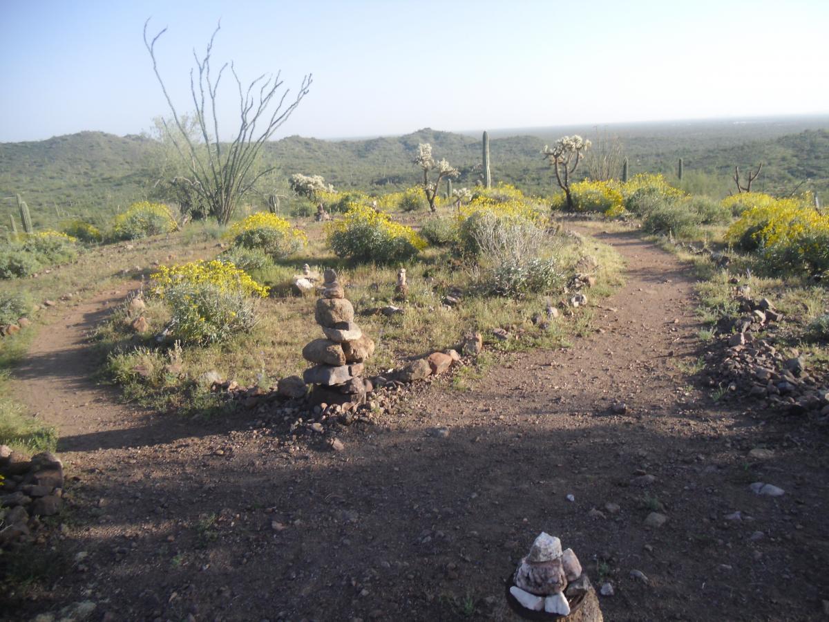 A natural landscape featuring two winding dirt paths that fork in different directions. Surrounding the paths are patches of green vegetation and vibrant yellow wildflowers. Rock stacks are visible along the sides of the paths, adding an element of human presence to the serene outdoor scene, with distant hills and clear blue skies completing the tranquil setting. Cloudview mountain bike trail.