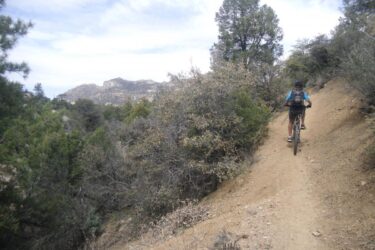 A person riding a mountain bike on a narrow dirt trail surrounded by trees and shrubs, with rocky mountains visible in the distance under a cloudy sky. Granite Basin Loops mountain bike trail.