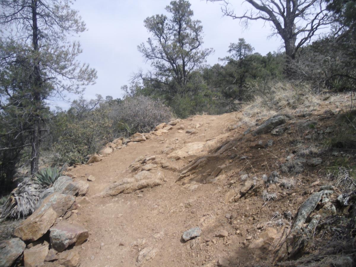 A rocky hiking path leading uphill, surrounded by trees and shrubs under a cloudy sky. The terrain is uneven with exposed rocks and earth. Granite Dells mountain bike trail.