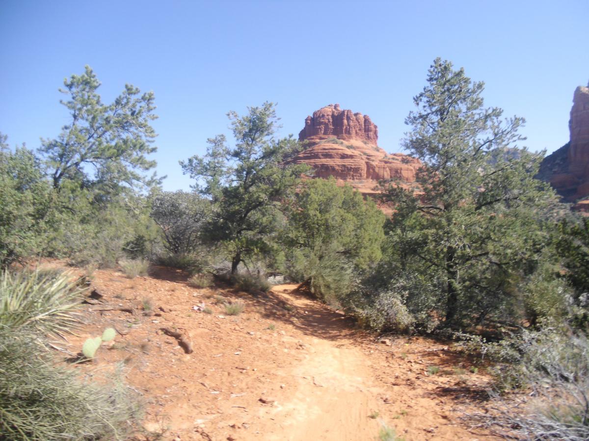 A scenic view of a rugged dirt path winding through a forest of green trees, with red rock formations in the background under a clear blue sky. Hiline mountain bike trail.