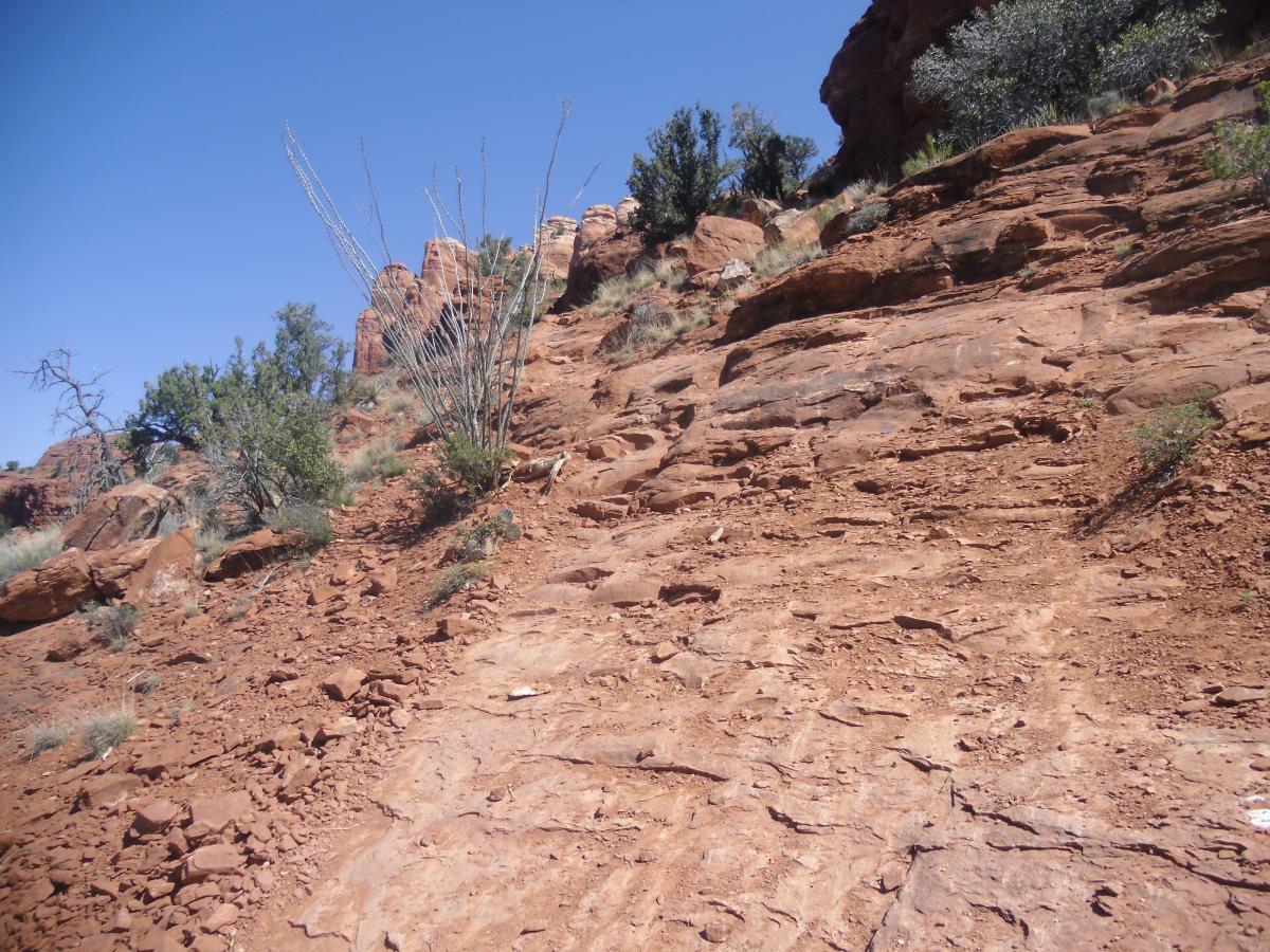 Rocky hillside with sparse vegetation and clear blue sky. The terrain features reddish-brown rocks and scattered shrubs, indicating a dry, arid environment. Hiline mountain bike trail.