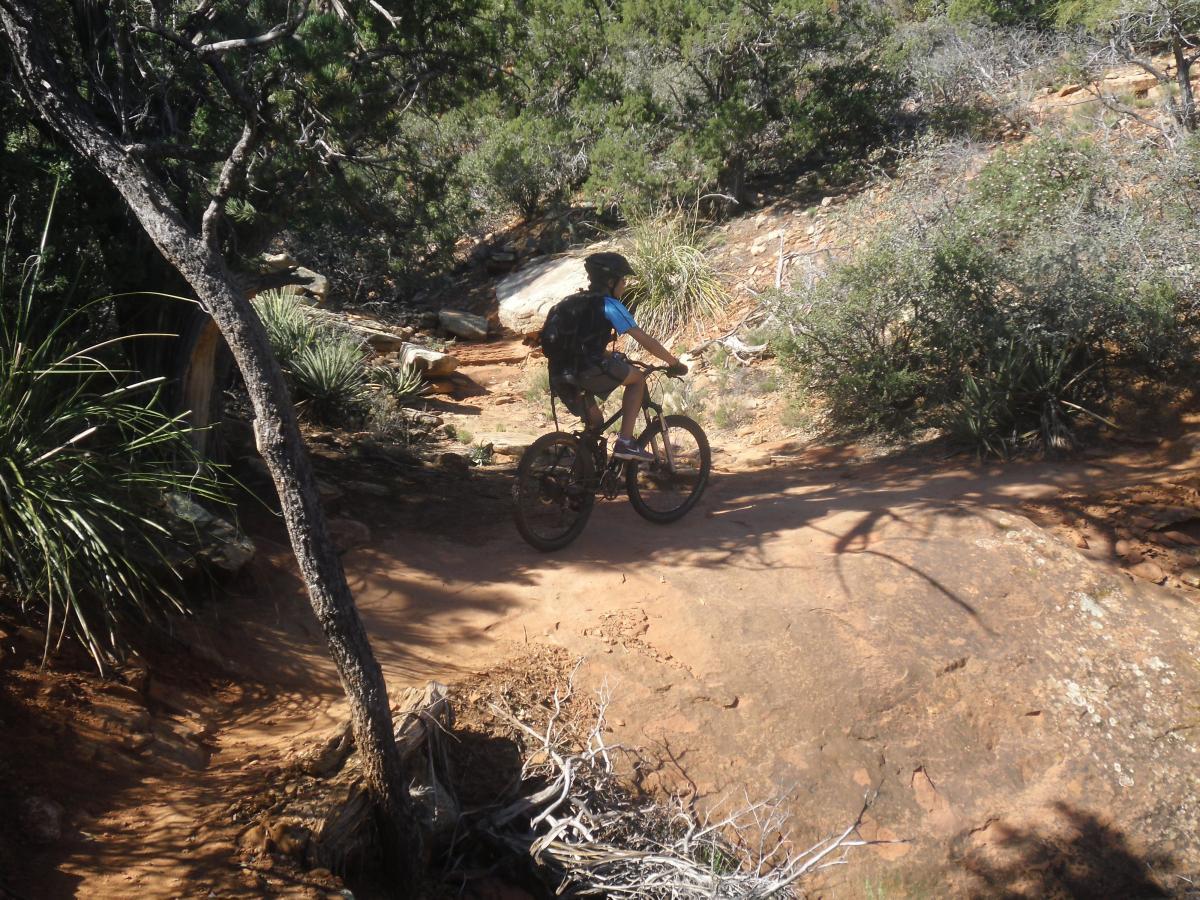 A person riding a mountain bike along a rocky trail surrounded by dense vegetation and trees. The cyclist is wearing a helmet and is positioned on a dirt path that winds through the natural landscape. Hiline mountain bike trail.