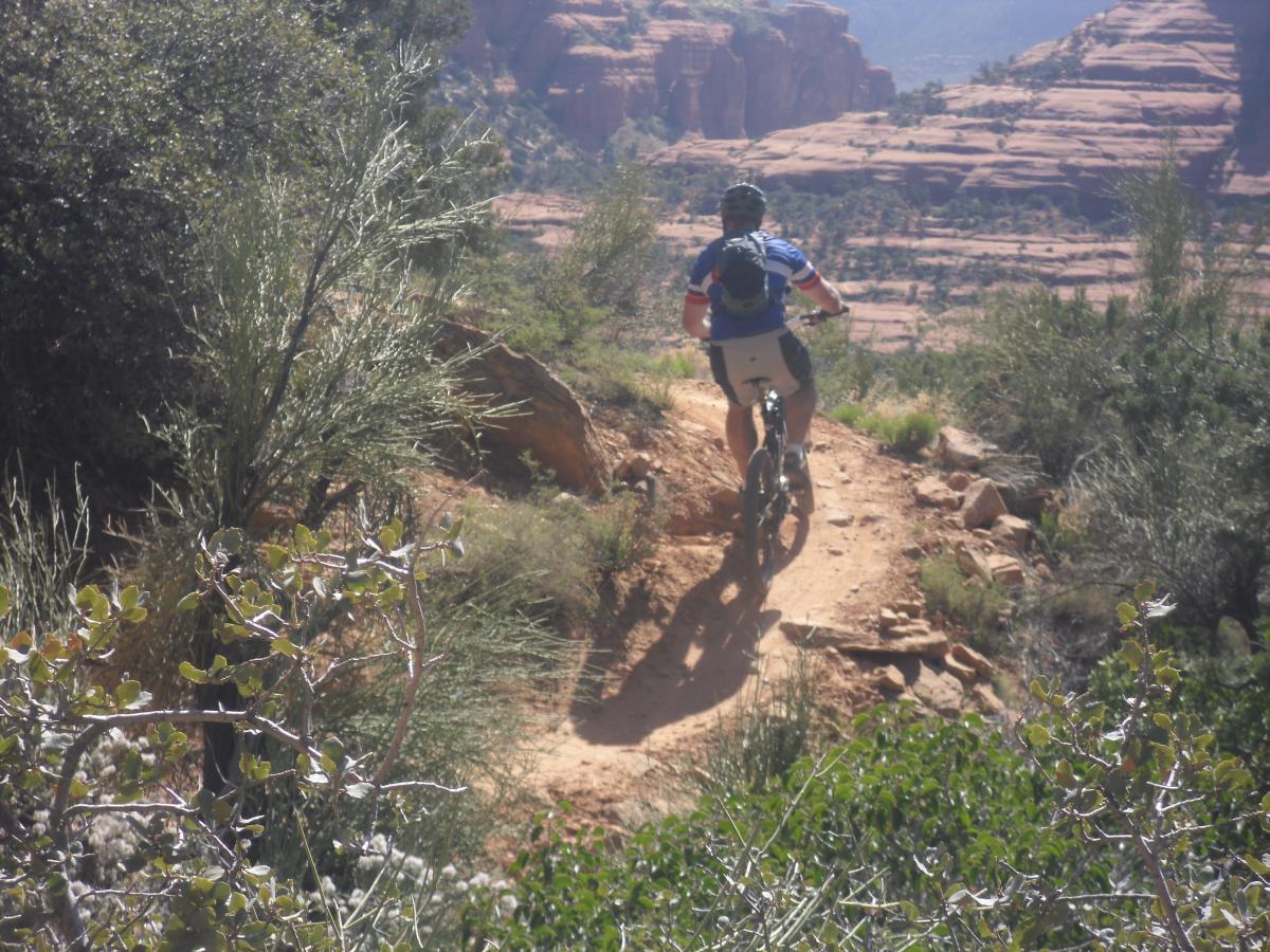 A person riding a mountain bike on a narrow trail surrounded by bushes and rocky terrain, with red rock formations in the background under a clear blue sky. Hiline mountain bike trail.