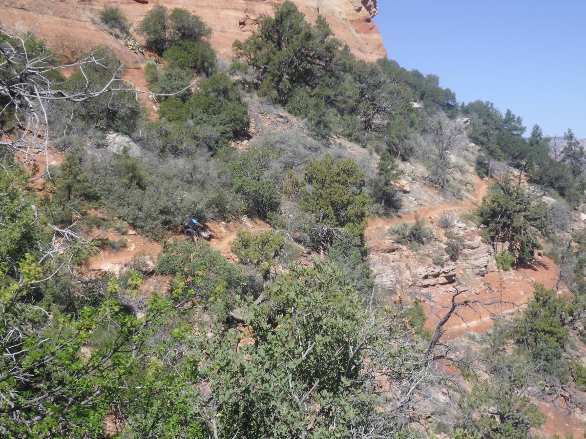 A scenic view of a rugged hillside with a winding trail surrounded by green shrubbery and trees, set against a backdrop of red rock formations under a clear blue sky. A person in a blue shirt can be seen faintly along the trail. Hiline mountain bike trail.