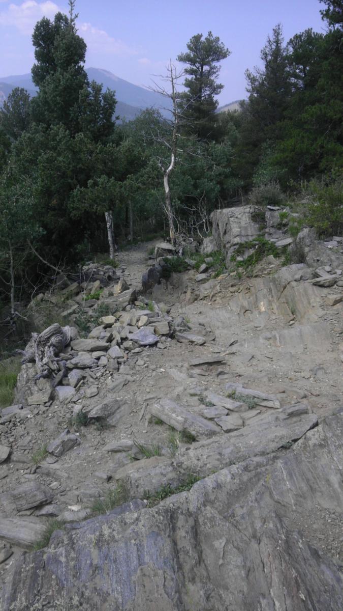 A rocky trail surrounded by tall trees, leading towards distant mountains under a cloudy sky. The terrain is uneven with patches of grass and scattered stones, indicating a natural and rugged outdoor landscape. Bergen Peak mountain bike trail.