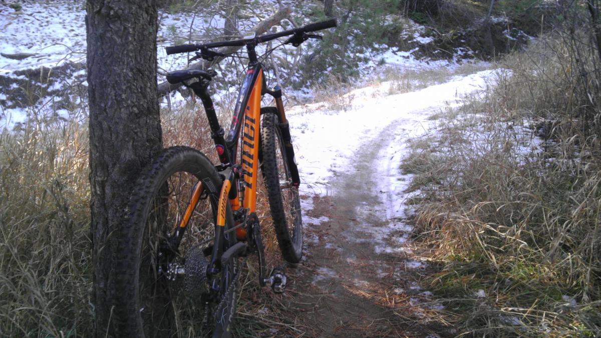 A mountain bike leaning against a tree on a snow-covered trail, surrounded by tall grass and sparse trees. The trail curves through a forested area, suggesting a peaceful outdoor setting. Apex Park mountain bike trail.