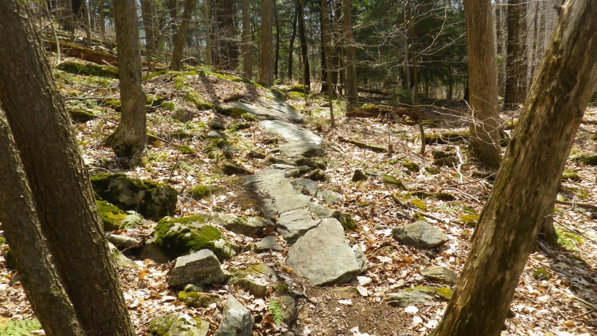 A winding stone path leading through a wooded area with bare trees and scattered leaves, surrounded by rocks and patches of green moss. Beebe Hill State Forest mountain bike trail.